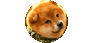 まめすけ